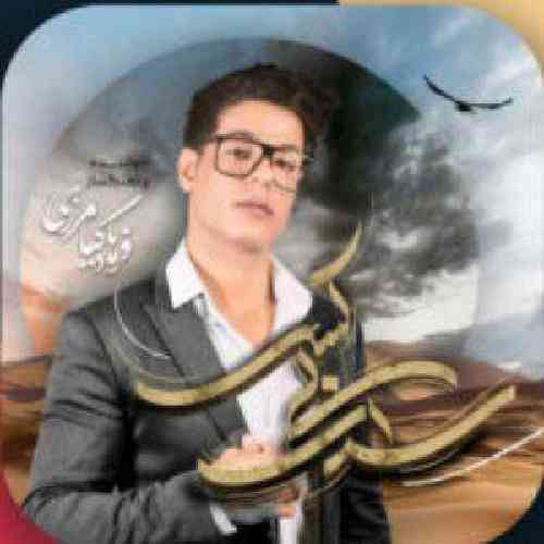 فرهاد کیامرزی سرای بی کسی